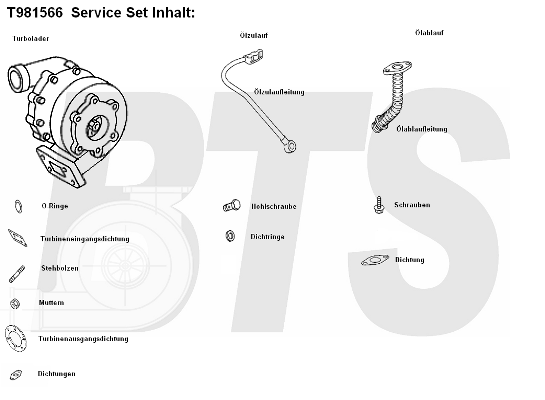 Compresor,sistem de supraalimentare T981556 BTS Turbo